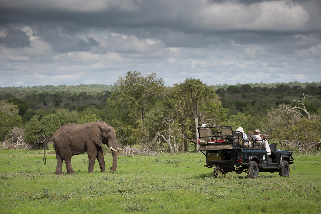 Game Drives 