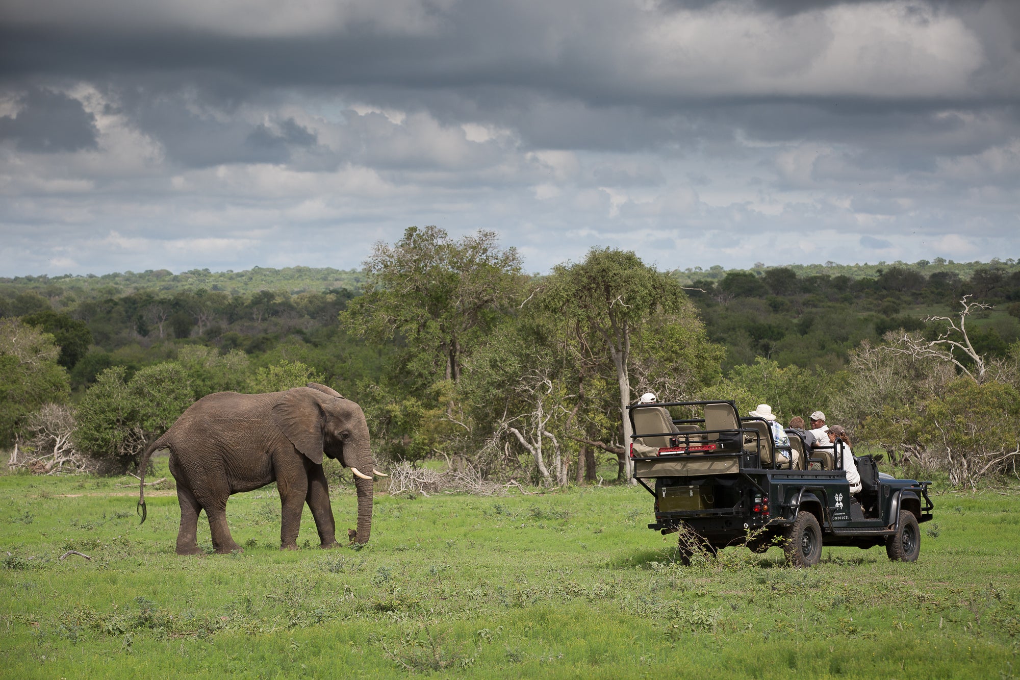 Game Drives 