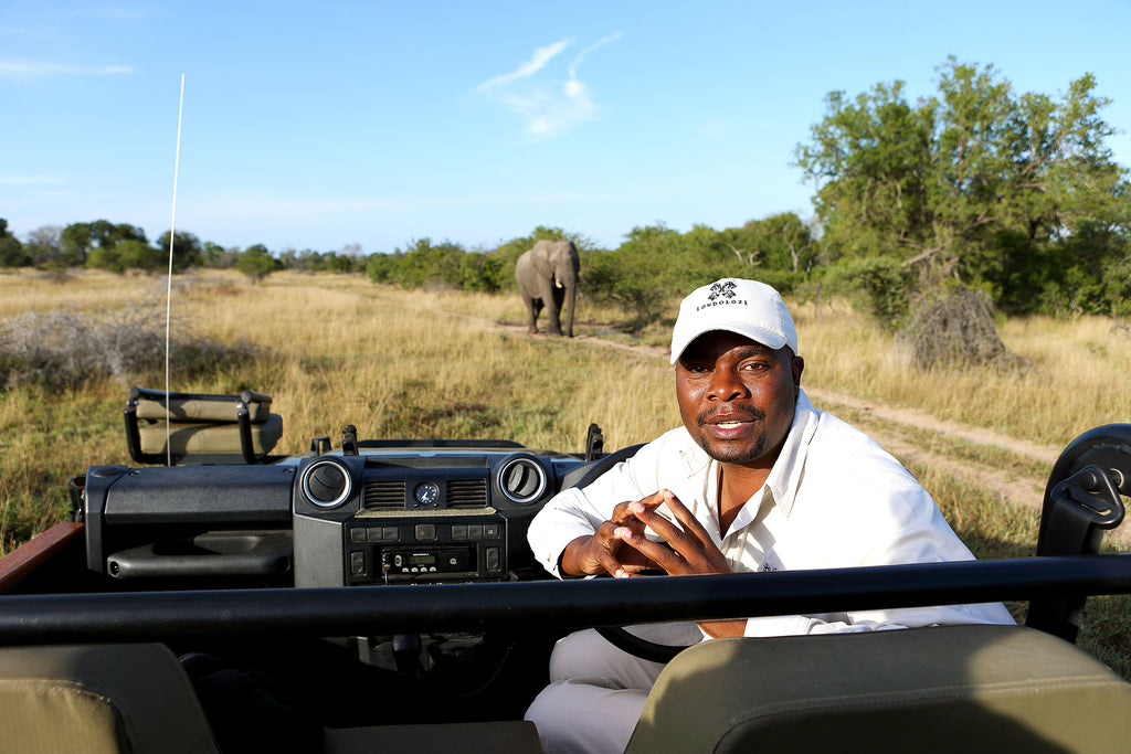 Game Drives 