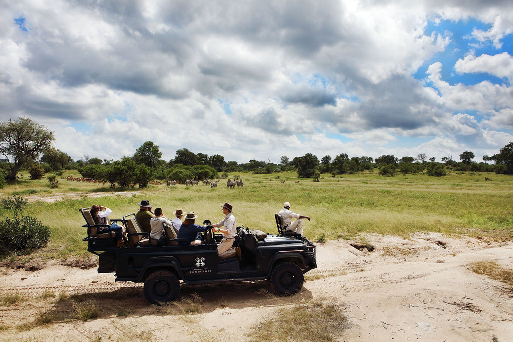 Game Drives 