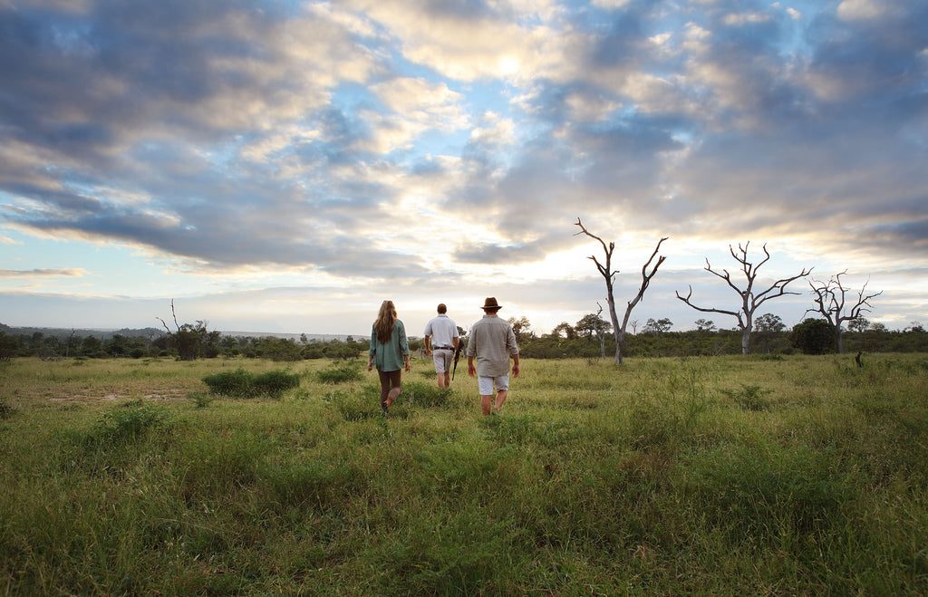 Bush Walks