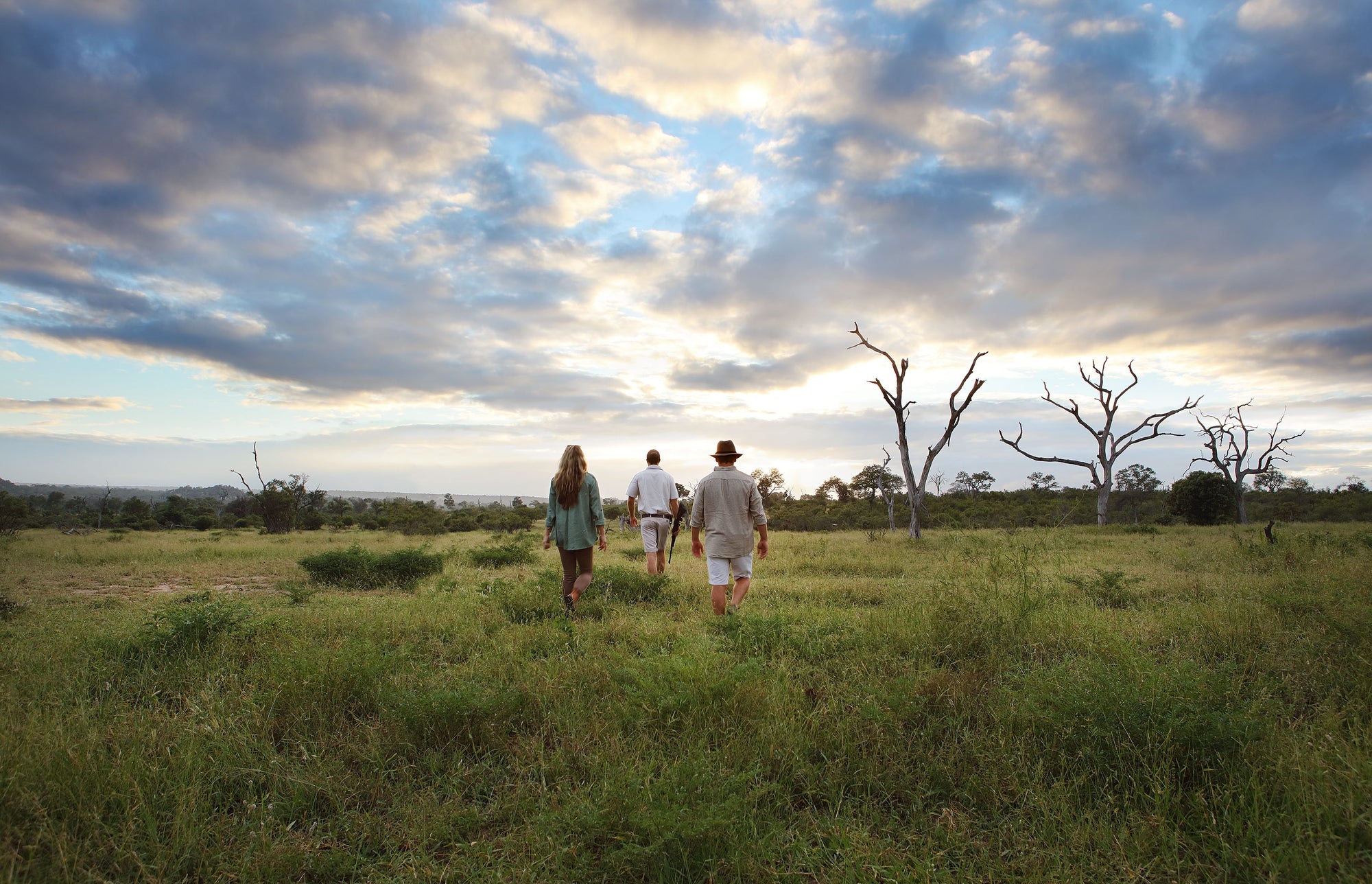 Bush Walks