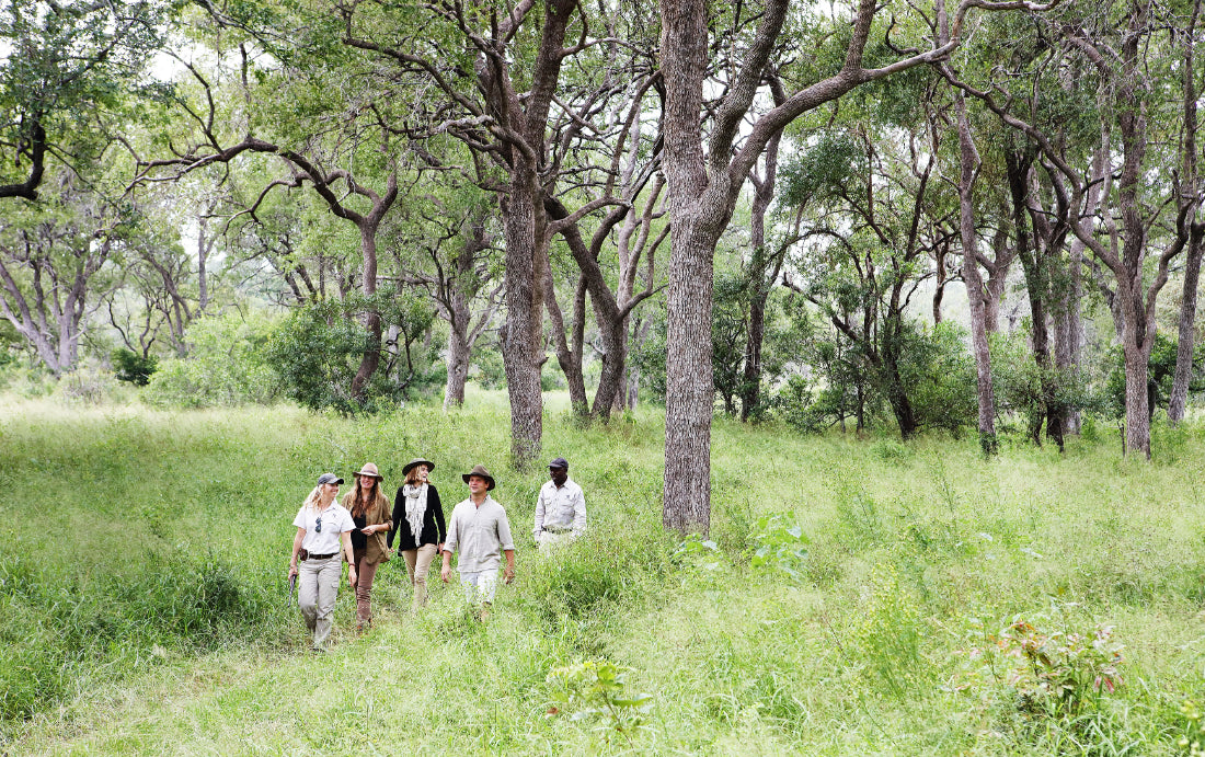 Bush Walks