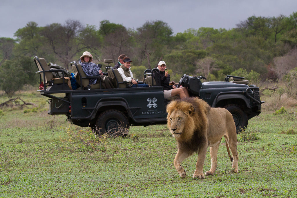 Game Drives 