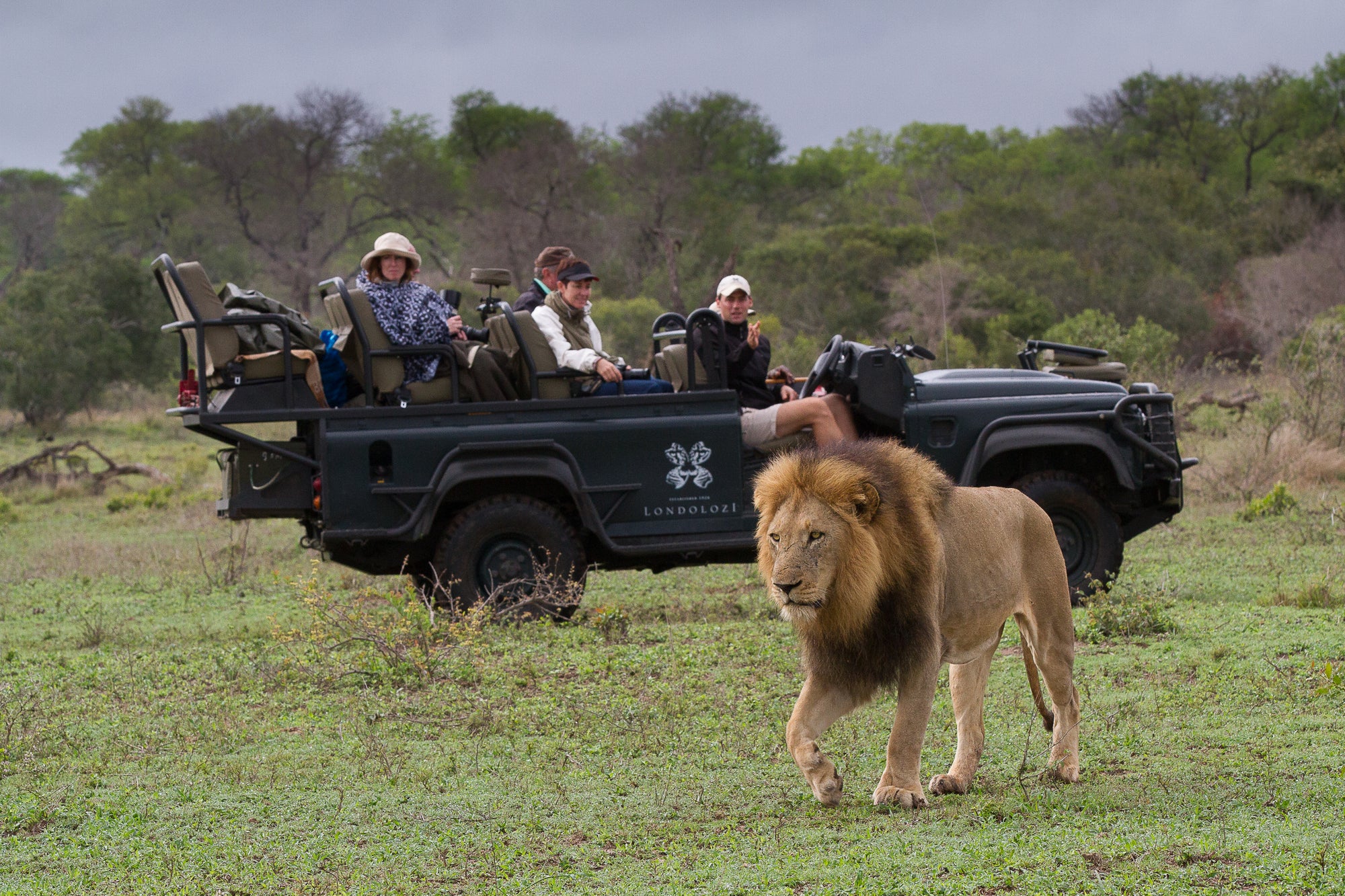 Game Drives 