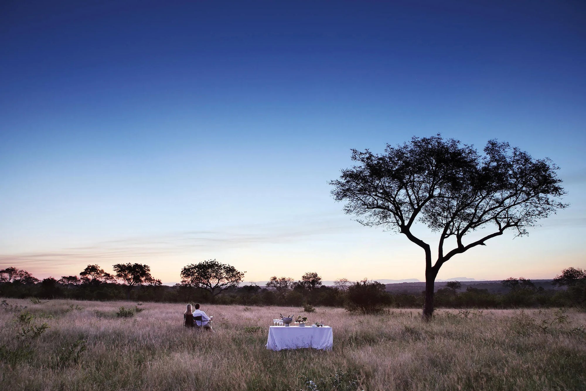 Drinks stop at Londolozi Tree Camp, Londolozi Game Reserve, South Africa.