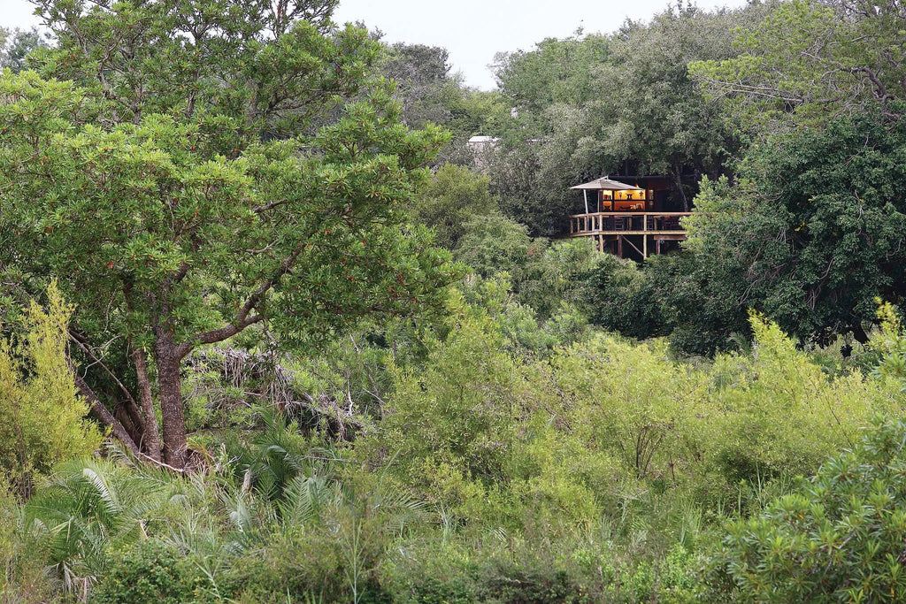 Tree Camp at Londolozi Tree Camp, Londolozi Game Reserve, South Africa.