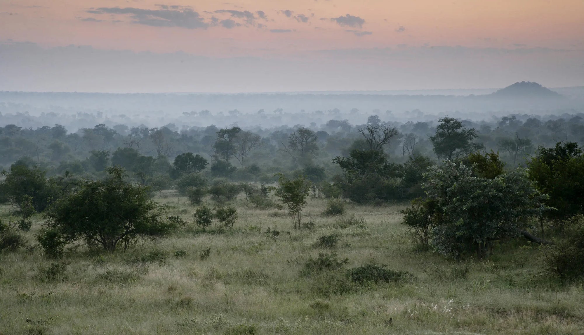 Landscape at Londolozi Tree Camp, Londolozi Game Reserve, South Africa.