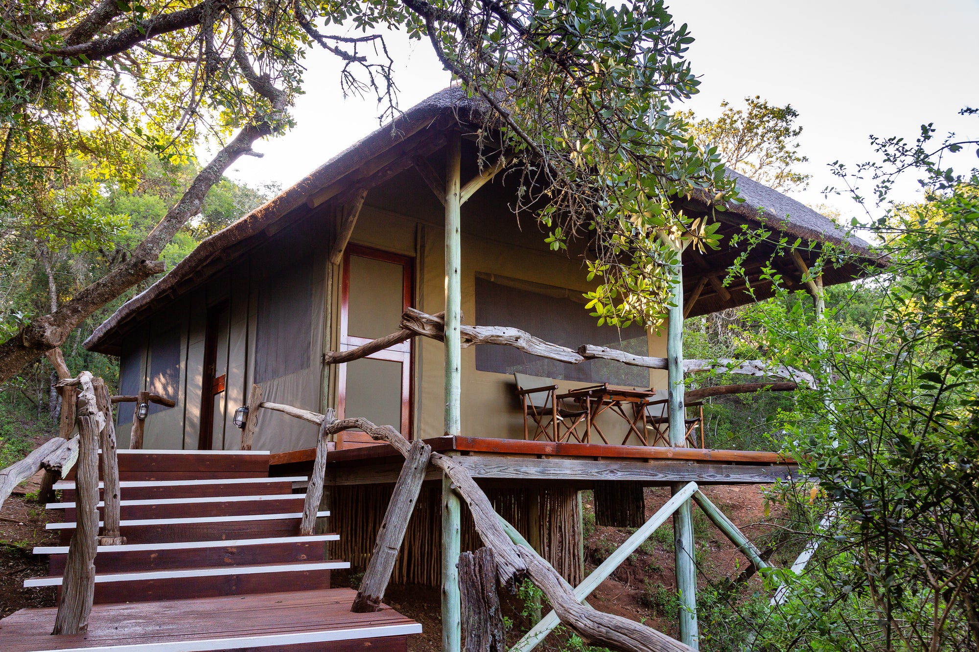 Lalibela Game Reserve Tree Tops Safari Lodge - Luxury Room