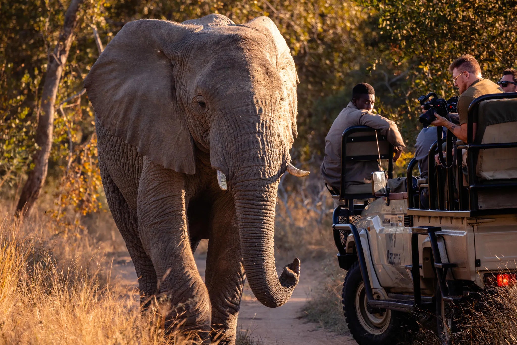 Kapama Wildlife Big Five Safari