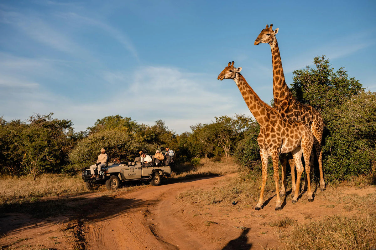 Kapama Wildlife Big Five Safari
