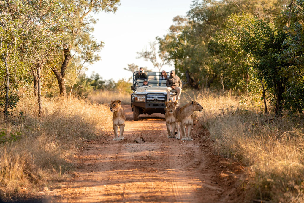 Kapama Wildlife Big Five Safari