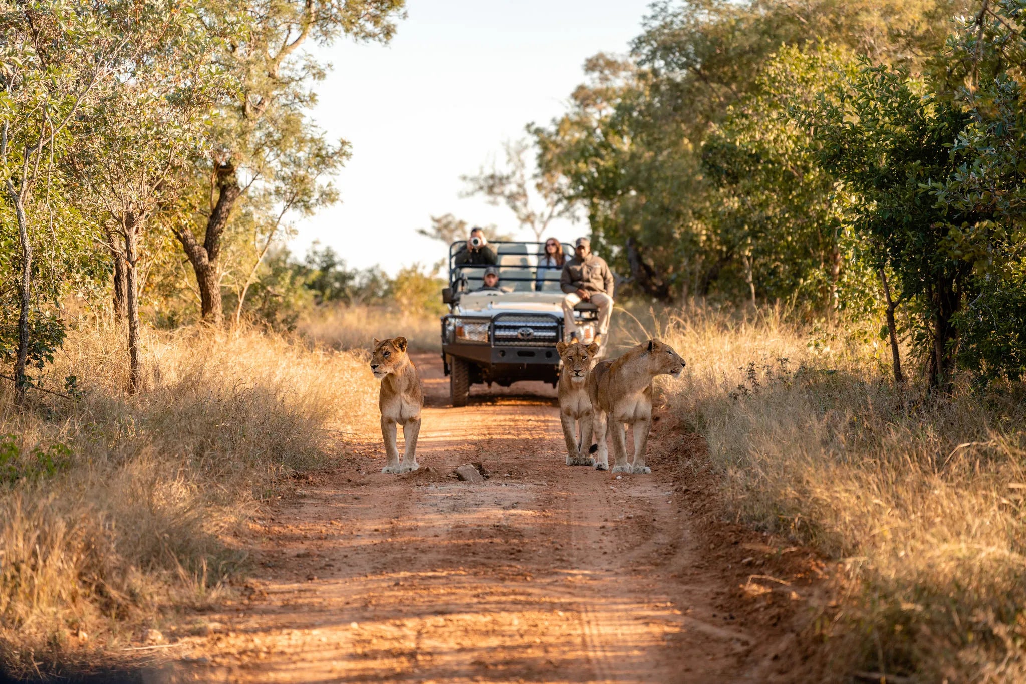 Kapama Wildlife Big Five Safari