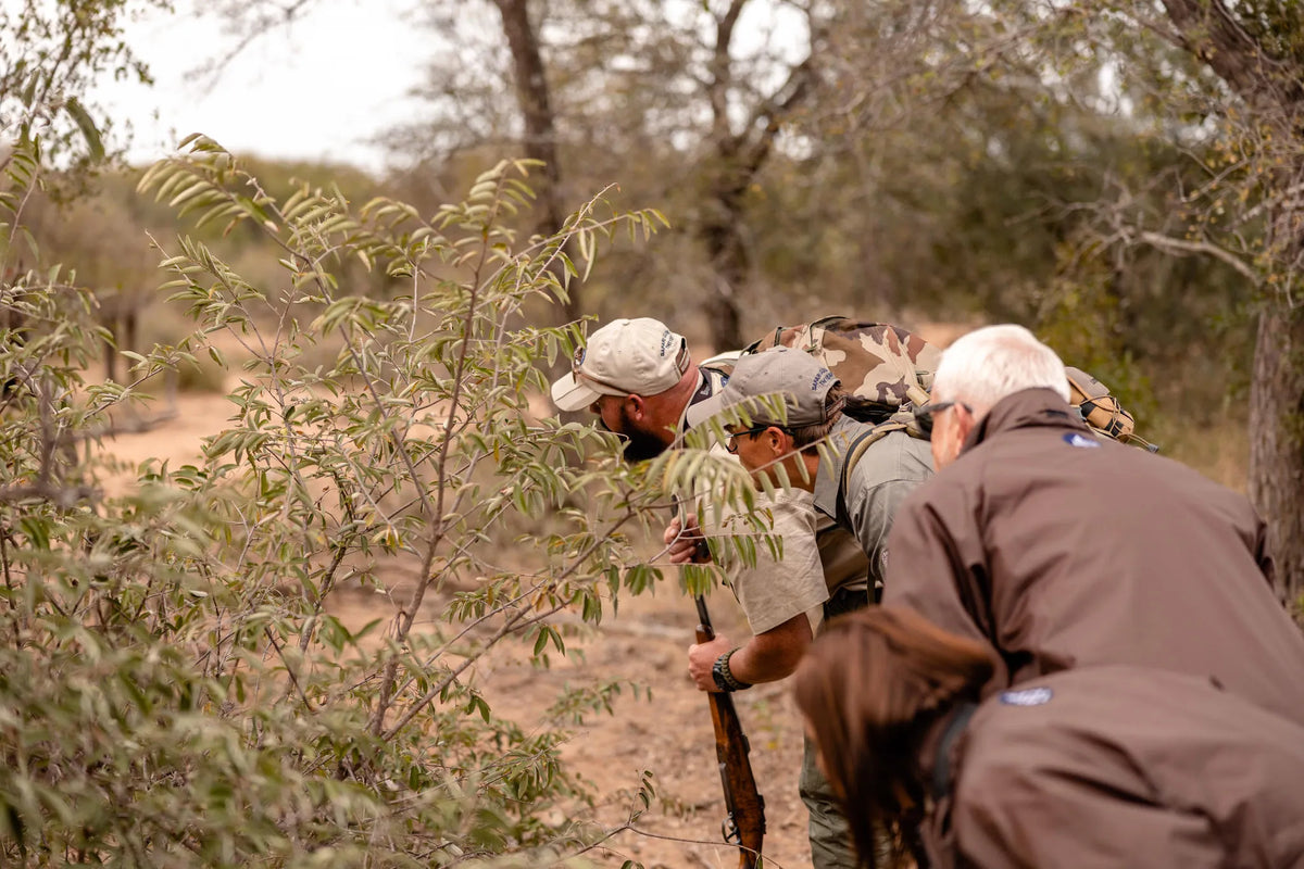 Kapama Wildlife Bush Walk