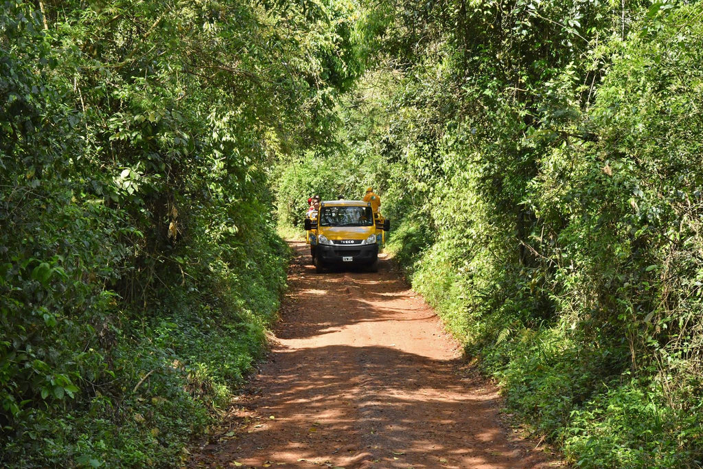 Iguazu Jungle Gran Aventura