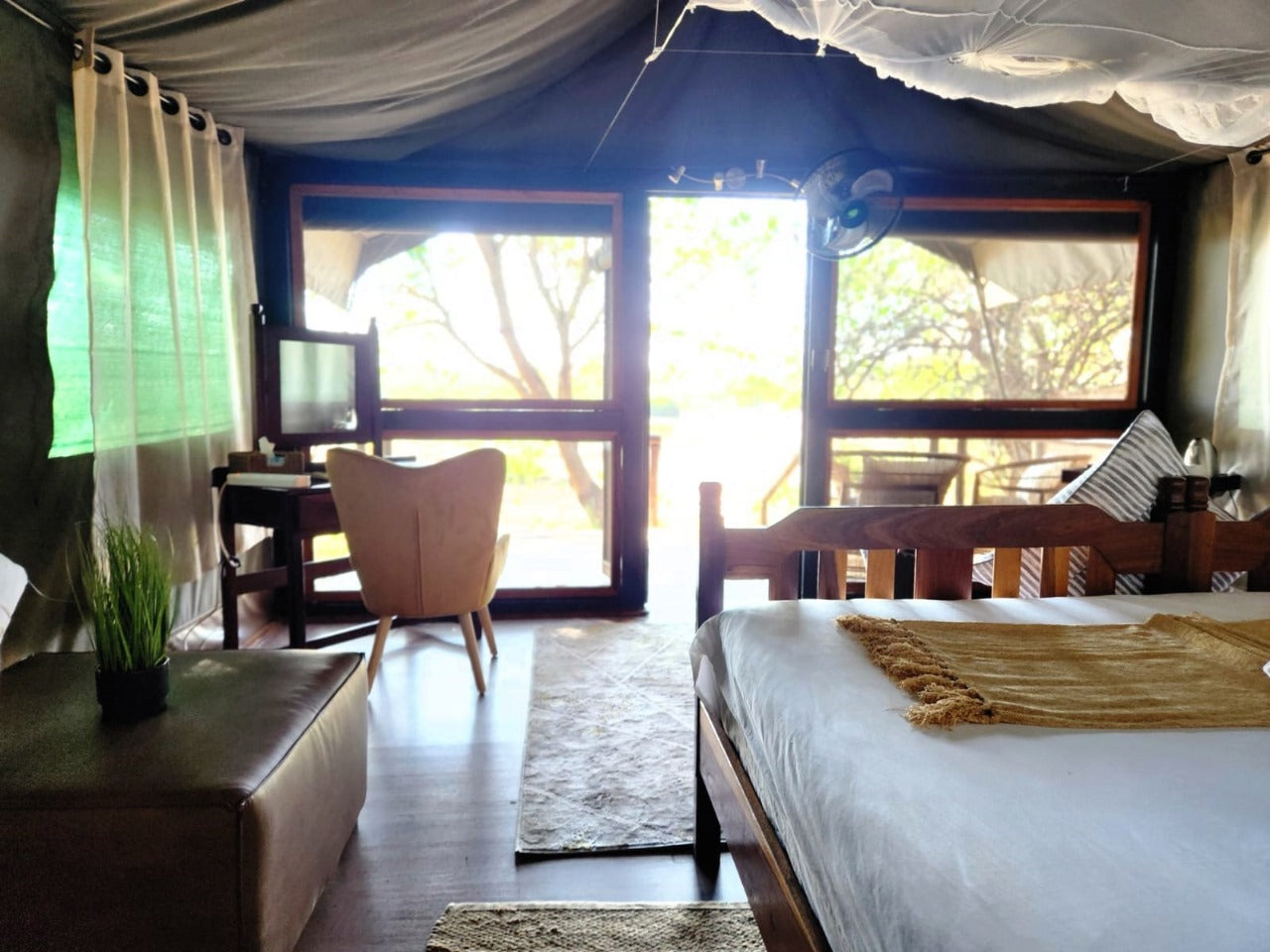 Forest Tent