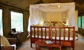 Family Forest Tent interior