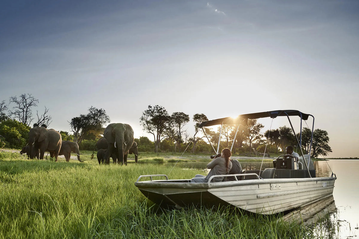 Chobe Chilwero Lodge, an A&K Sanctuary, Chobe River Front, Botswana gallery image 8.