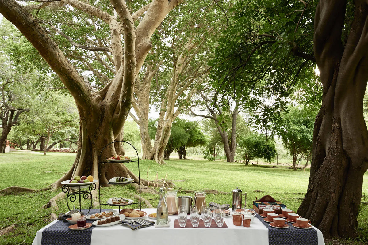 Chobe Chilwero Lodge, an A&K Sanctuary, Chobe River Front, Botswana gallery image 19.