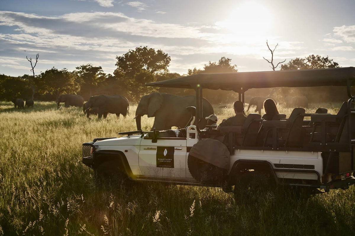 Chobe Chilwero Lodge, an A&K Sanctuary, Chobe River Front, Botswana gallery image 28.