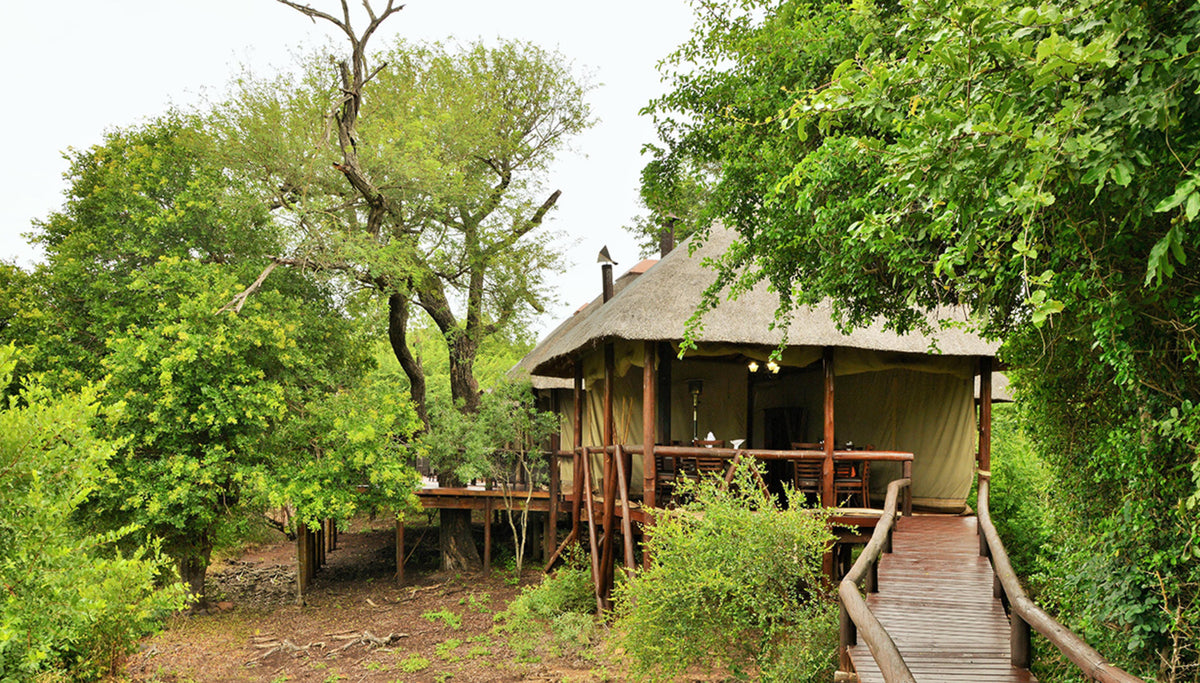 Camp Shonga