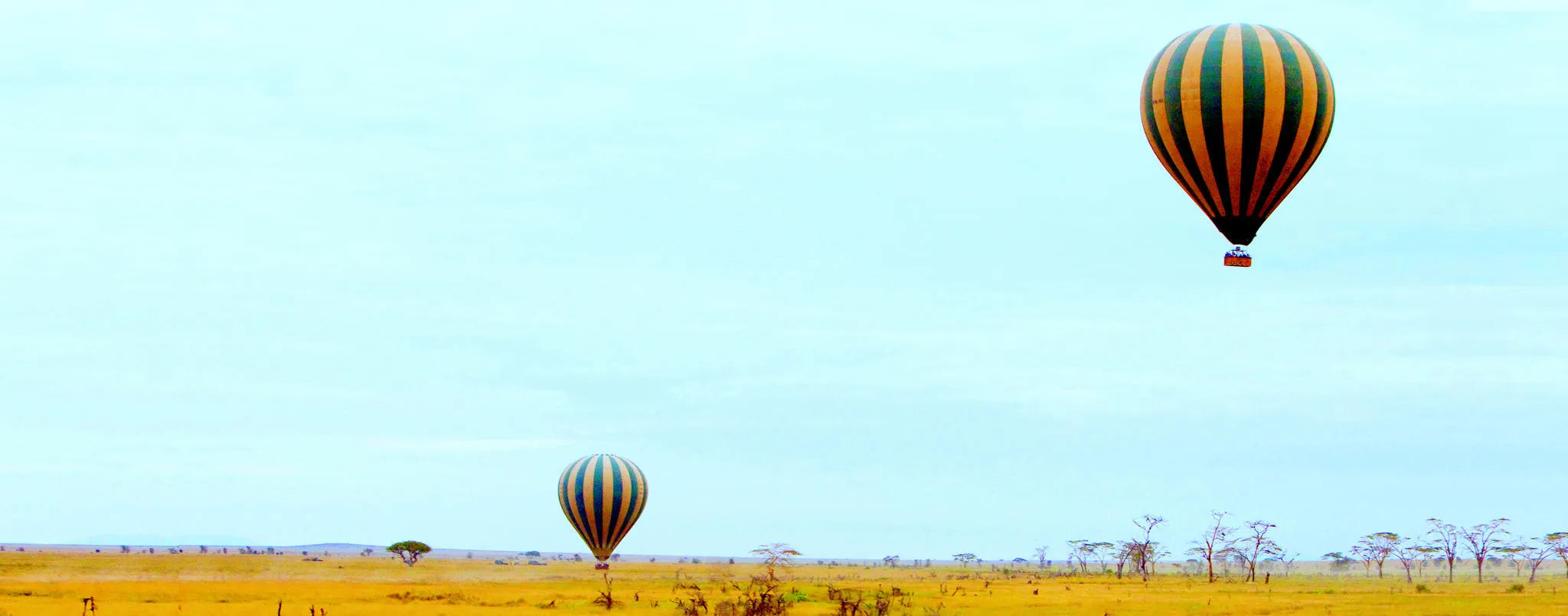 Featured image.