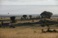 Gallery image 2.