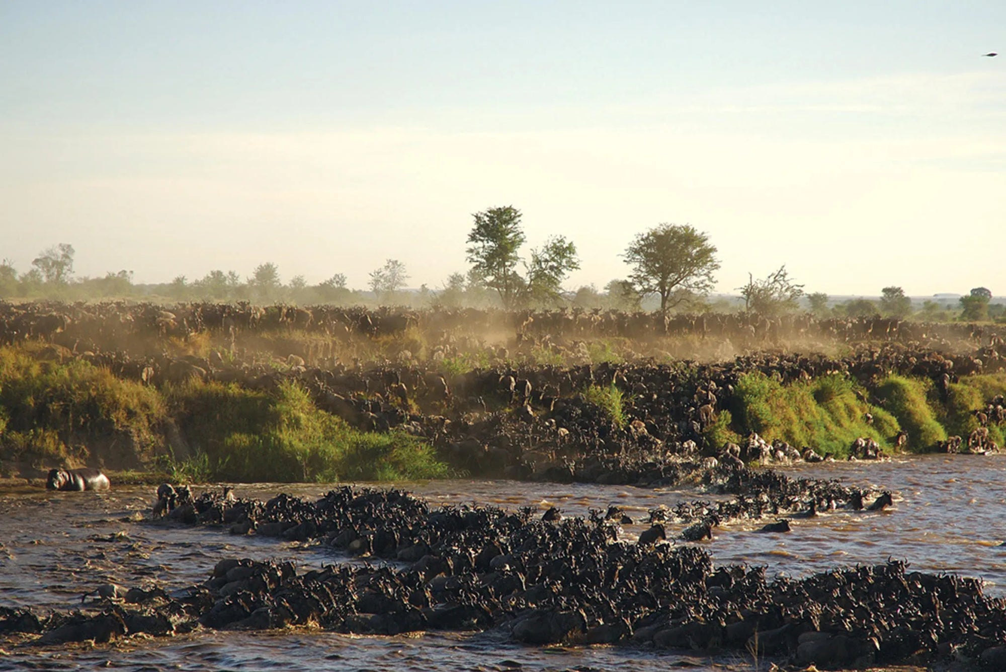 Sayari - Mara River crossing at Sayari, Northern Serengeti, Tanzania.