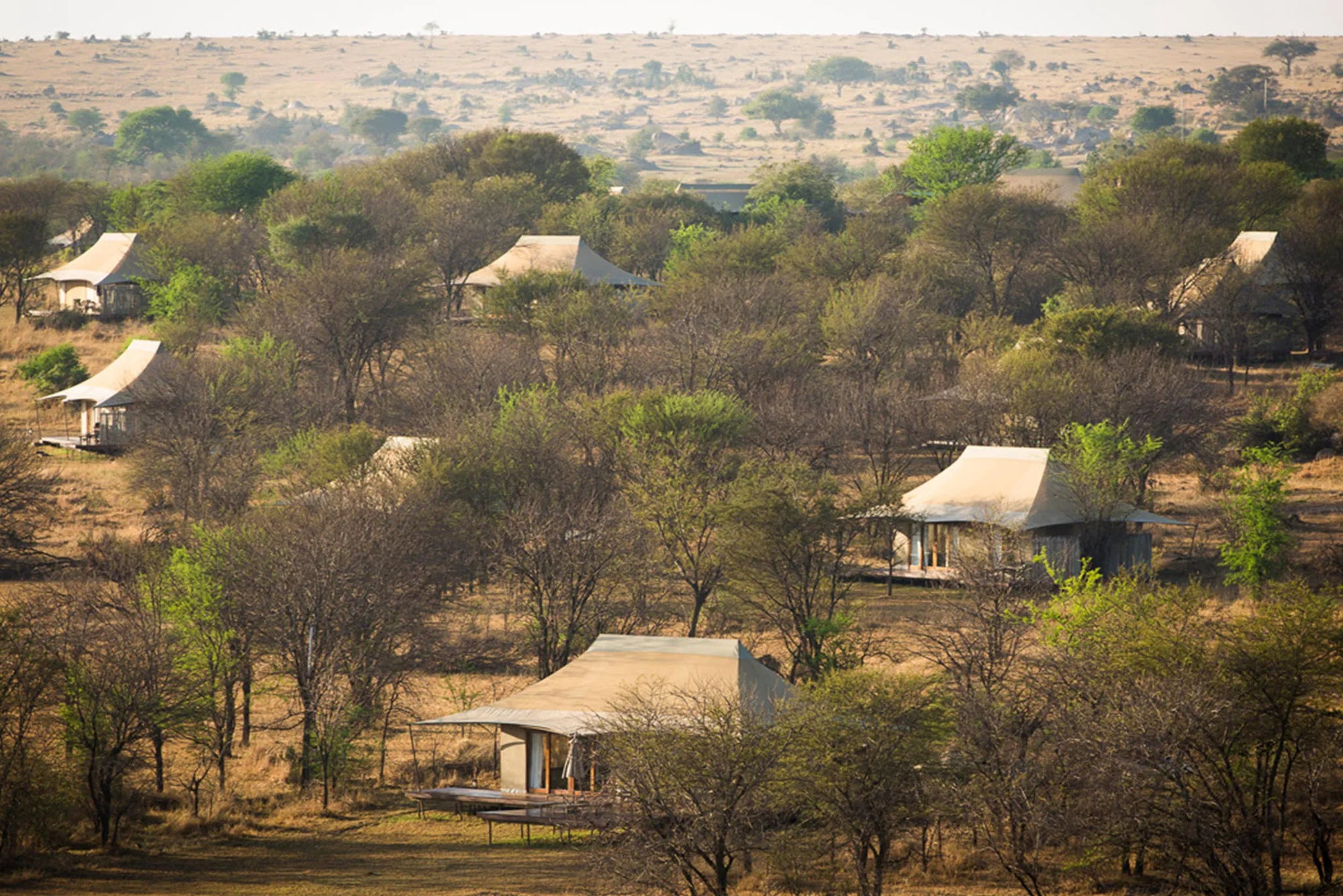 Sayari Camp - Guest tents layout at Sayari, Northern Serengeti, Tanzania.