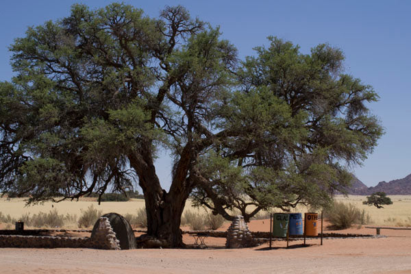 Sesriem Campsite