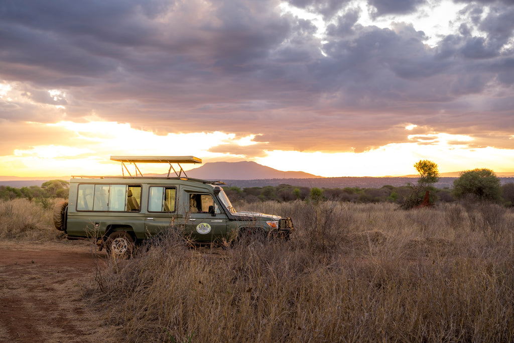 Sundowner Safari