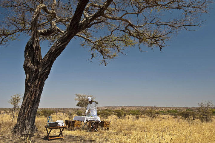 Elewana Tarangire Treetops
