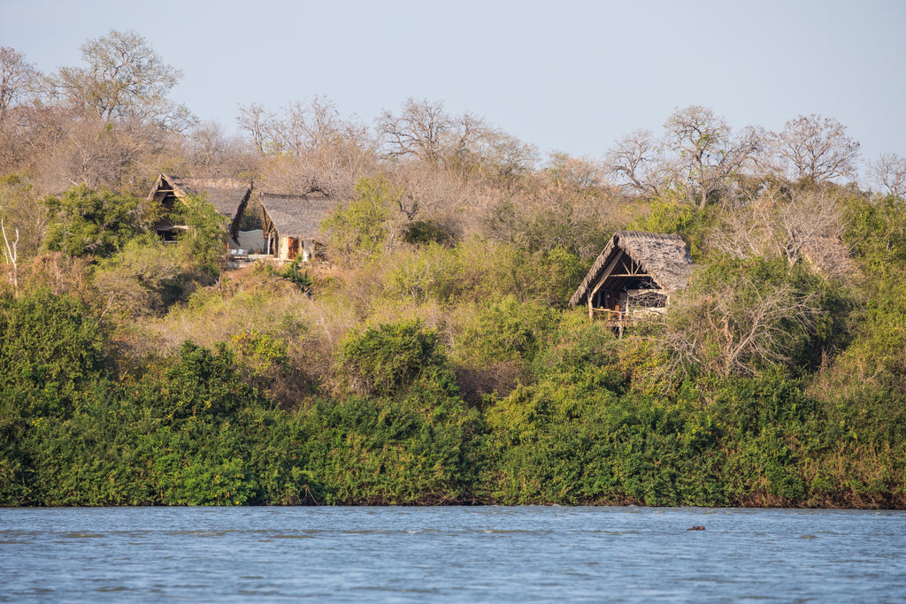 Sand Rivers Selous
