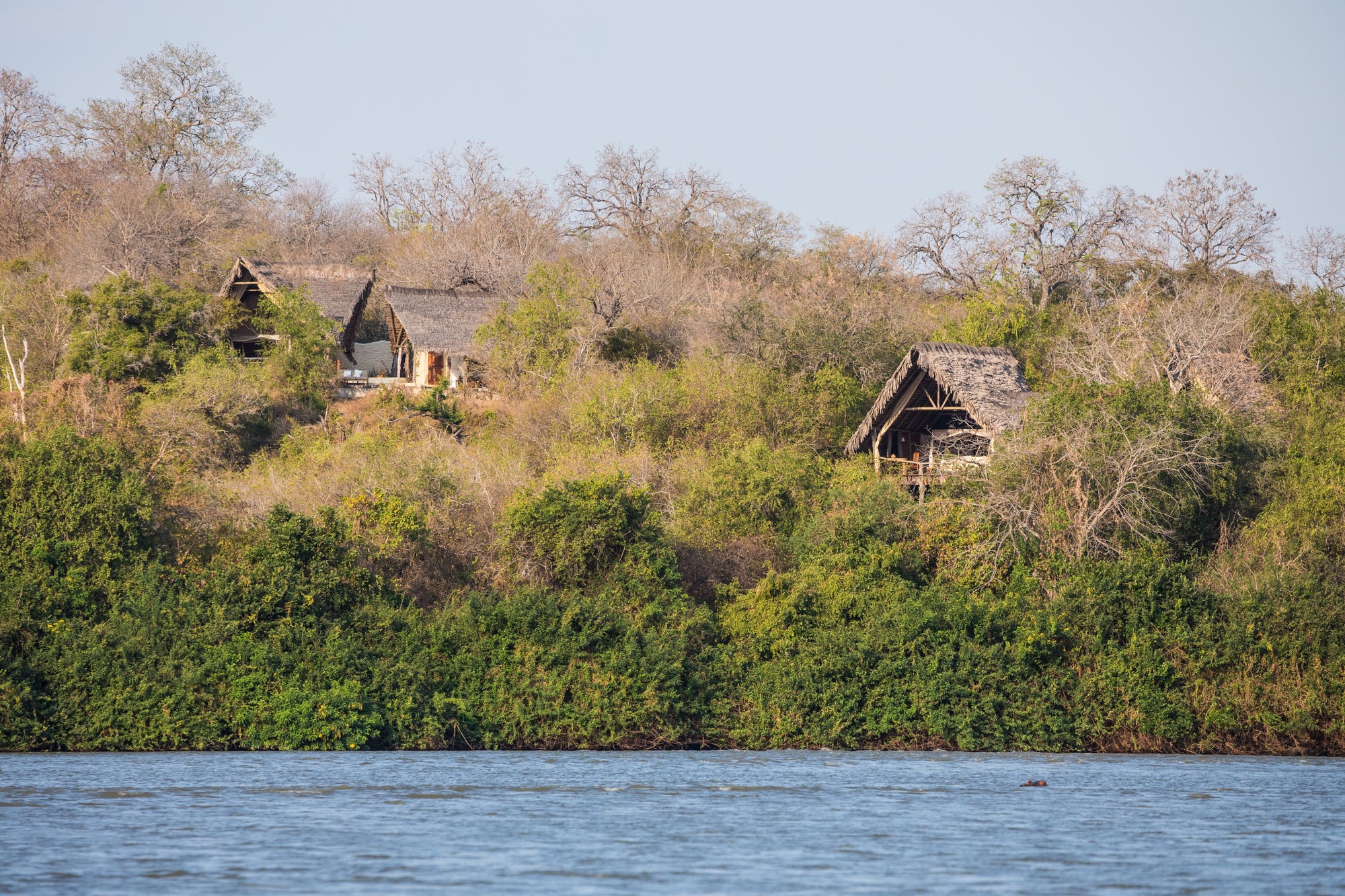 Sand Rivers Selous