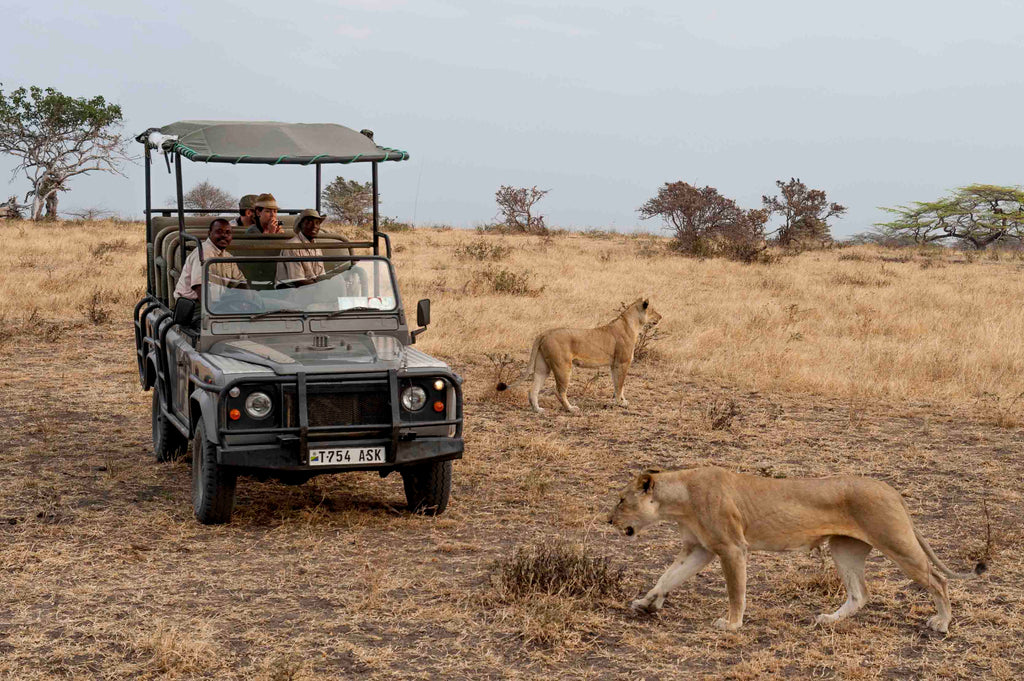 Game Drive