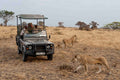 Game Drive