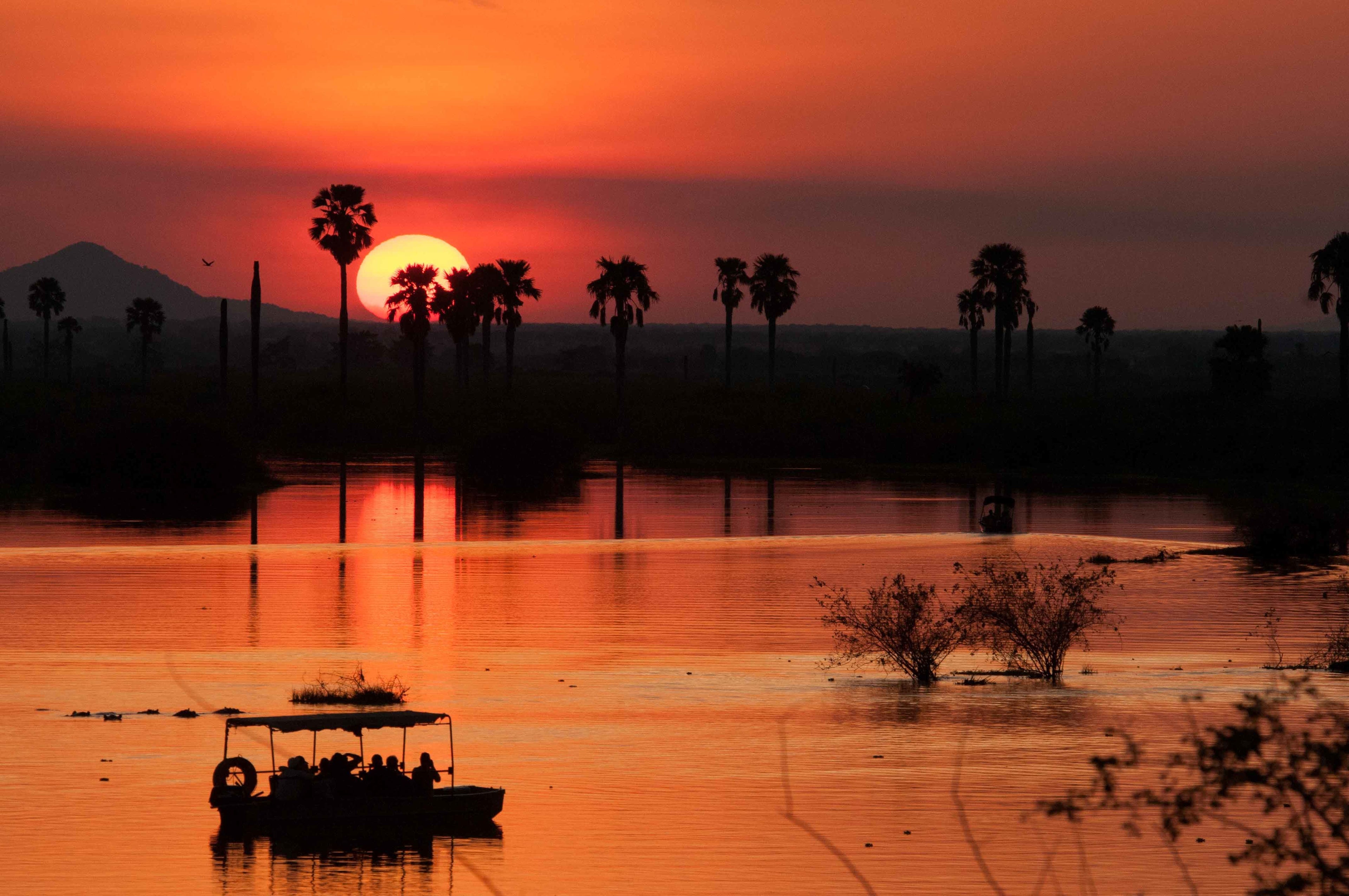Boat Safari at sunset
