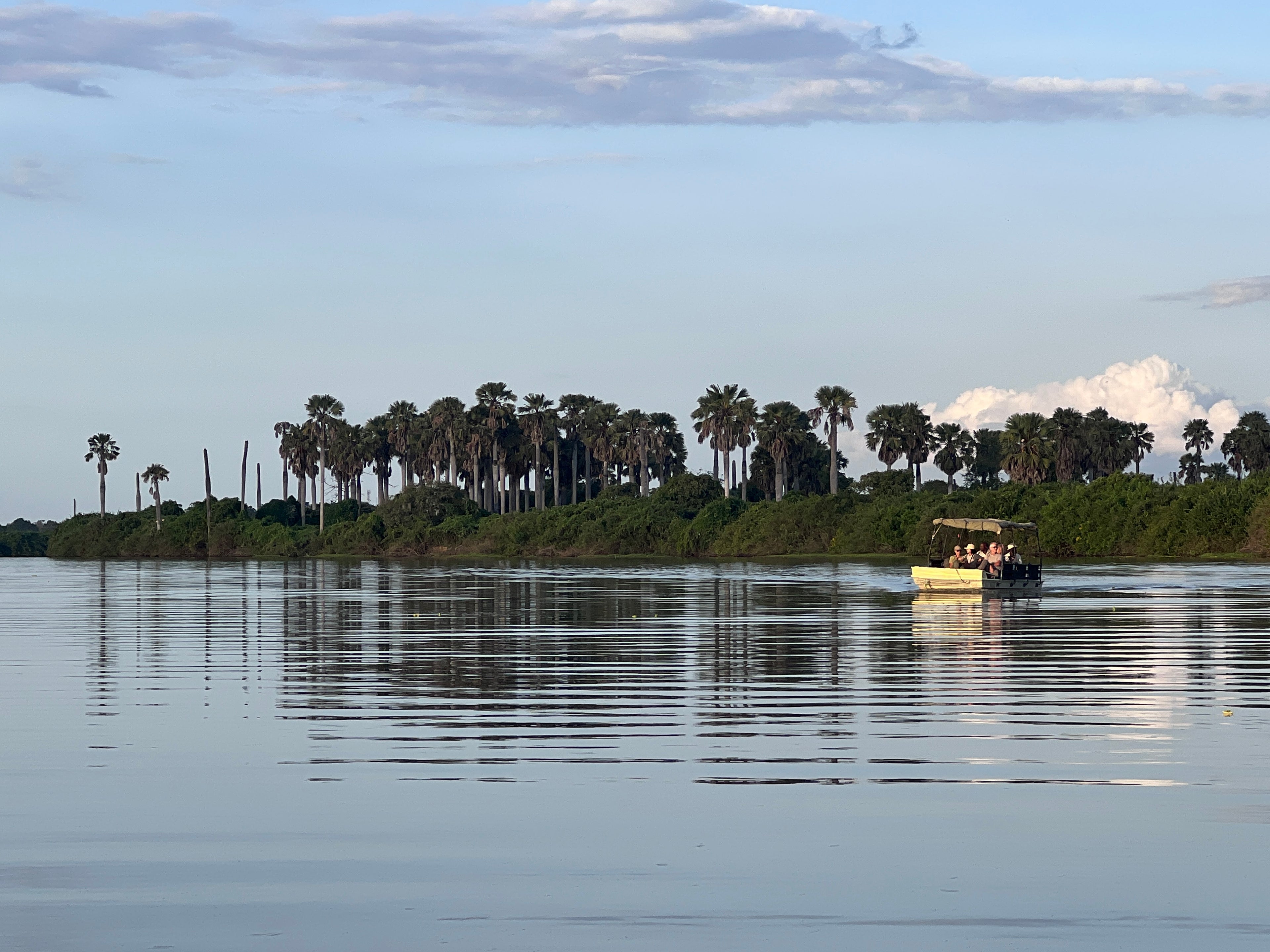 Boat Safari