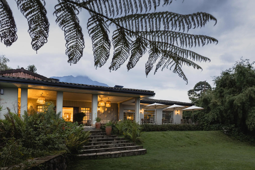 Wilderness Sabyinyo at Wilderness Sabyinyo, Volcanoes National Park, Rwanda.