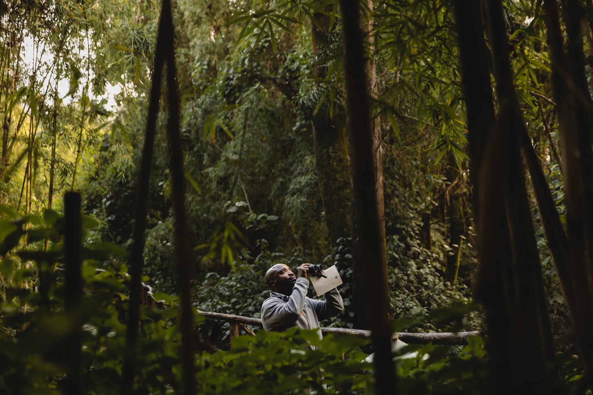 Wilderness Sabyinyo – Guided Bird-Watching Walks
