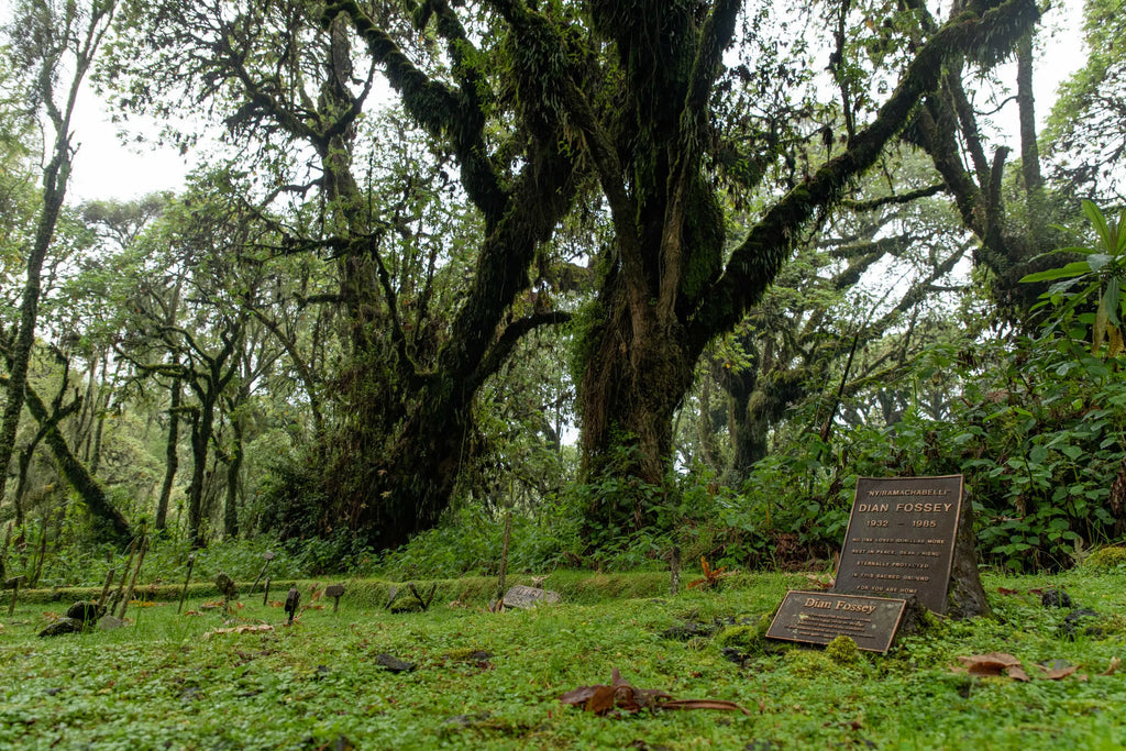 Gallery image 2.