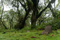 Gallery image 2.