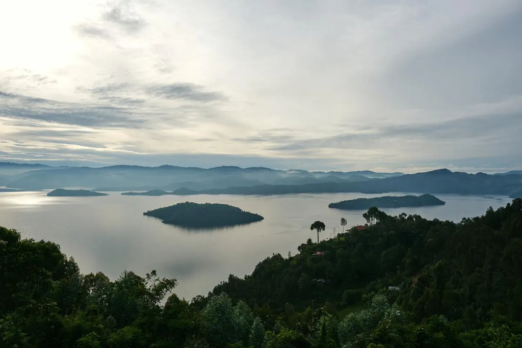 Virunga Lodge at Virunga Lodge, Twin Lakes Burera & Ruhondo, Rwanda.