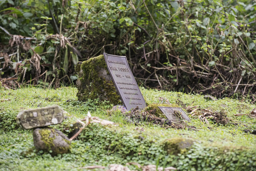 Virunga Lodge at Virunga Lodge, Twin Lakes Burera & Ruhondo, Rwanda.