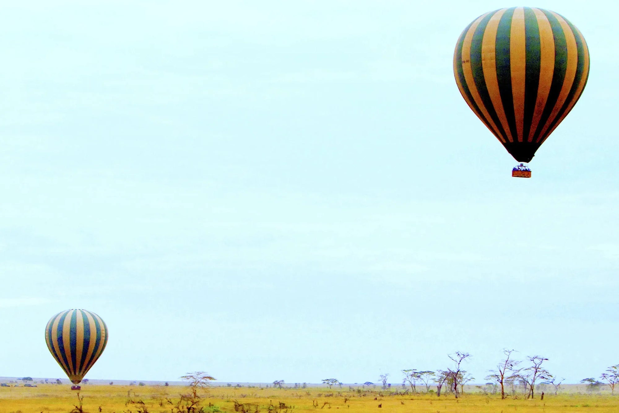 Dunia - Hot Air Balloon safari at Dunia, Central Serengeti, Tanzania.