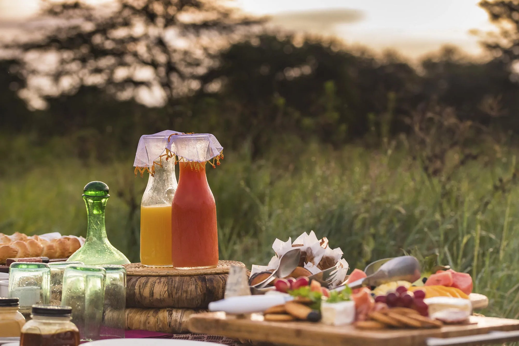 Dunia - Bush Breakfast at Dunia, Central Serengeti, Tanzania.