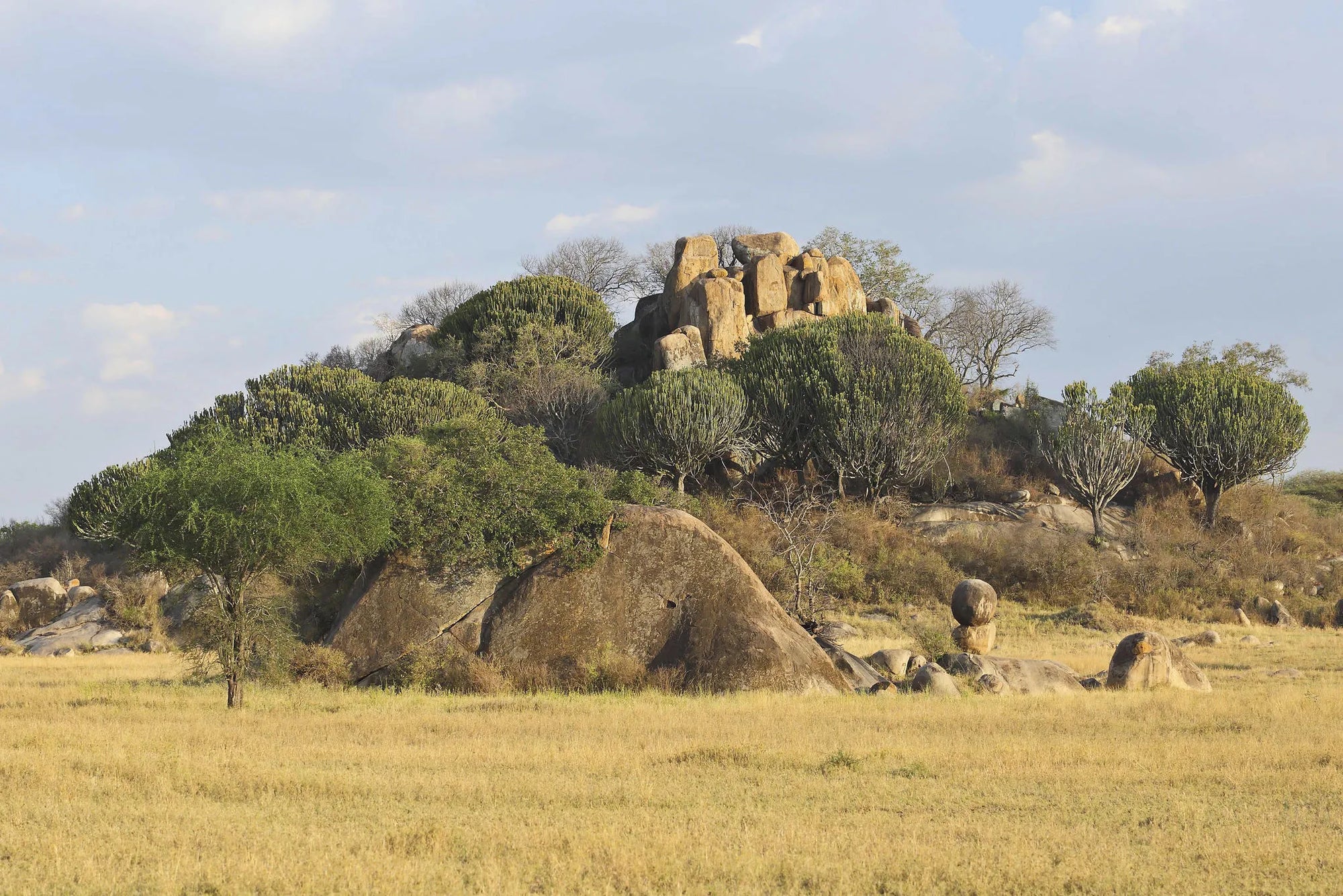 Dunia - Scenic Landscape at Dunia, Central Serengeti, Tanzania.
