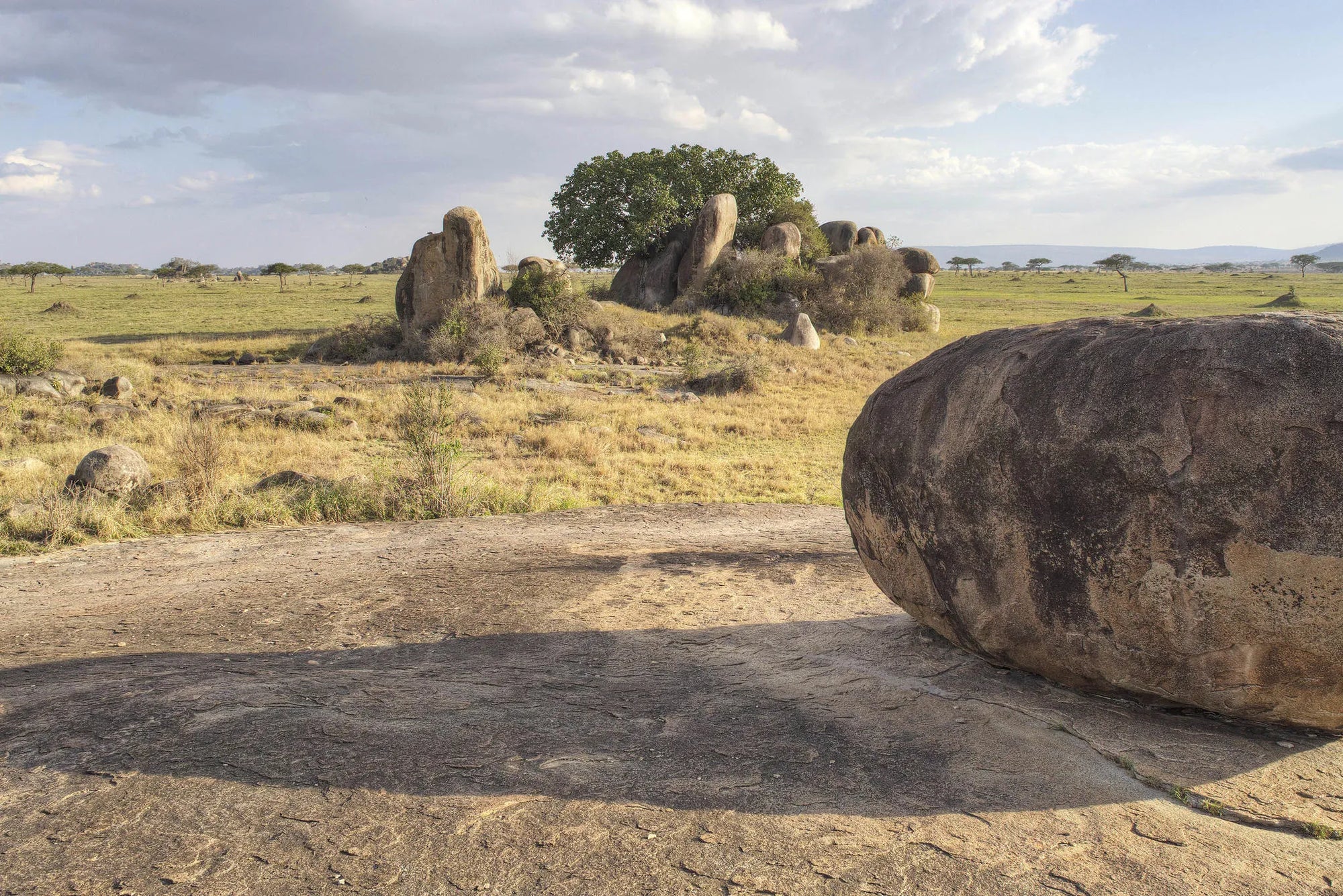 Dunia Scenic Landscape at Dunia, Central Serengeti, Tanzania.
