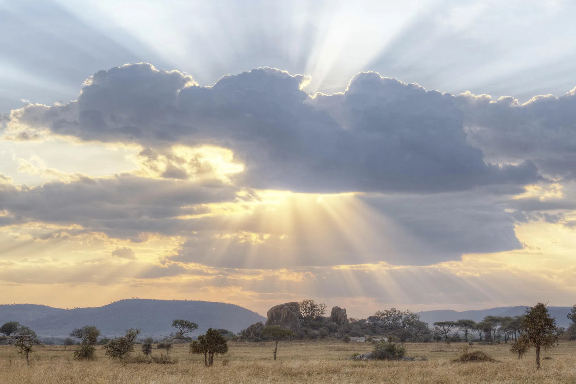 Dunia - Sunset at Dunia, Central Serengeti, Tanzania.