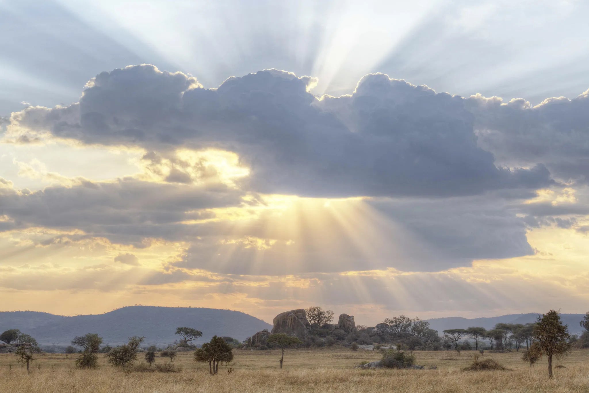 Dunia - Sunset at Dunia, Central Serengeti, Tanzania.